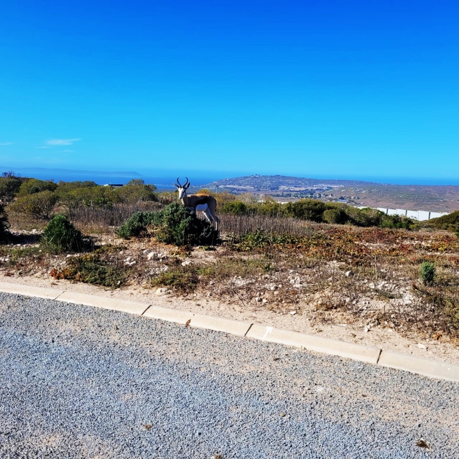0 Bedroom Property for Sale in Hoogland Western Cape